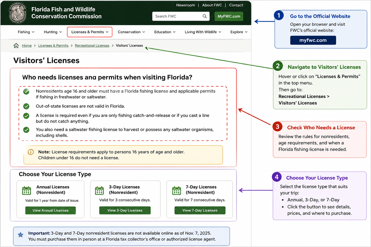 AI generated instructional visual showing FWC visitors license page, Florida nonresident age rules, online buying route and 3-day 7-day fishing license guidance
